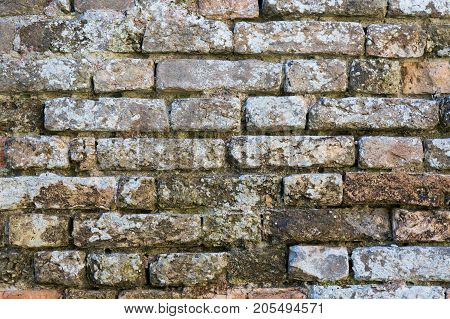 Old dirty brick wall texture background. Wall background for designers.