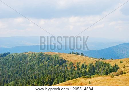 Mountain Landscape In Carpathian