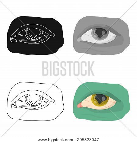Eye single icon in cartoon style.Eye, vector symbol stock illustration .