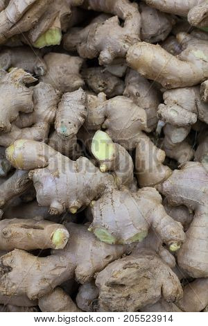 Heap Of Ginger Root Ginger Background A Bunch Of Ginger On The Counter Of A Vegetable Supermarket Fo