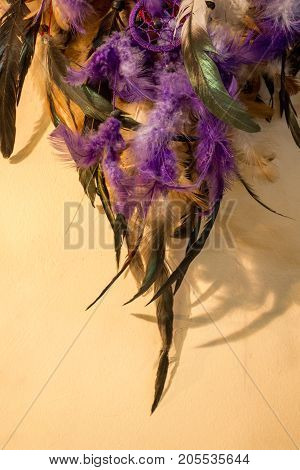 Beautiful Bird Feathers For Decorative Aims