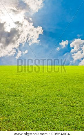 Vippes græsmarken og Bkue Sky