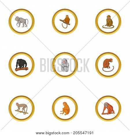 Primate icons set. Cartoon style set of 9 primate vector icons for web design