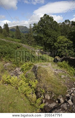 Landscape near Grasmere the Lake District Cumbria England.