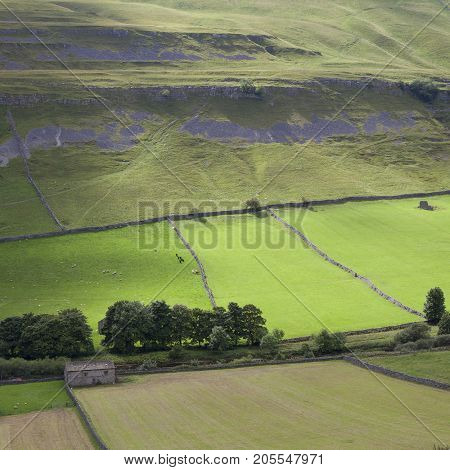 Wharfedale landscape Wharfedale Yorkshire Dales National Park England.