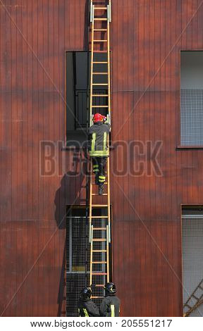 Firefighters During A Ladder Exercise And The Fire Brigade Build