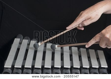 Xylophone