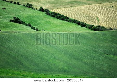 Hill