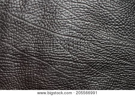 Black leather texture closeup background. Structured background design