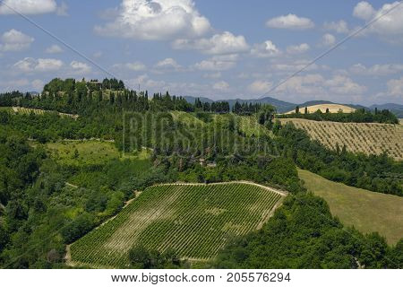 Rural landscape at summer along the road from Brisighella to Modigliana (Ravenna Emilia Romagna Italy)