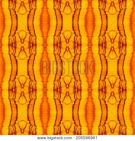 Seamless Pattern Made From Colorful Butterfly Wing For Background Texture