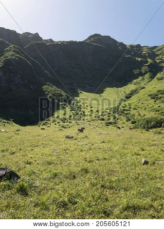 Alpine massif, beautiful Alpine canyon in Austria. Alpine Gastein Valley in summer. Mountains and pastures. Fresh air and healthy virgin nature. Excursional destination for hiking, vacation.