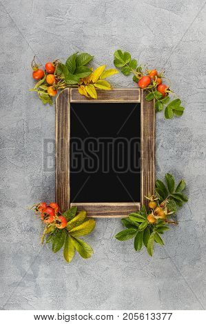 Black chalkboard and dogrose berries Autumn decorations. Top view space for text on the board.