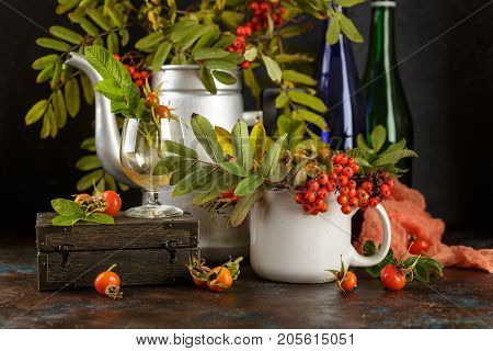 Rowan branches in metal old coffee pot and in cup and dogrose berries on dark background