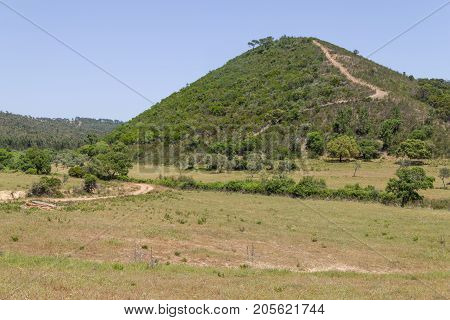 Trail To Mountain With Sobreiro Trees And Vegetation