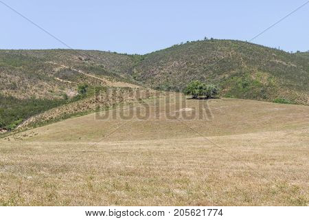 Trail To Mountain With Sobreiro Trees And Vegetation