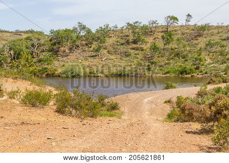 Lake, Sobreiro Trees And Vegetation In A Farm