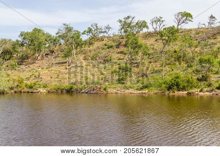 Lake, Sobreiro Trees And Vegetation In A Farm