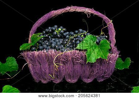 Red Wine Grapes In Voiolet Basket On Bllack Background.