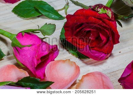 leaf of rosepink roses and red rose flowers in the pinewood table