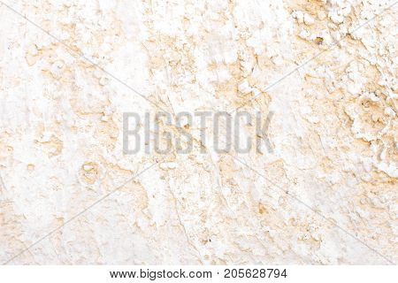 Gray White Abstract Stucco Coated Cement Wall Background Texture