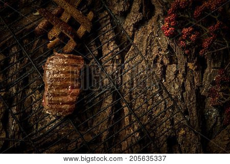 Dish On A Tree Bark