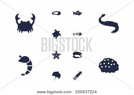 Collection Of Shell, Crustaceans, Remains And Other Elements.  Set Of 12 Food Icons Set.