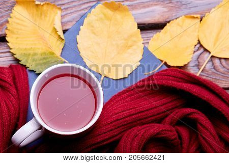 Cup of coffee or tea on the autumn nature. Close-up of autumn mood. Copy space. Yellow leaves on the dark wooden bench.