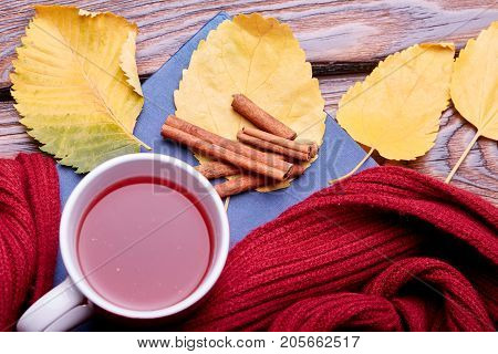 Cup of coffee or tea on the autumn nature. Close-up of autumn mood. Copy space. Yellow leaves on the dark wooden bench.