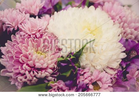 Purple And White Chrysanthemums And Asteria Bouquet Toned Image