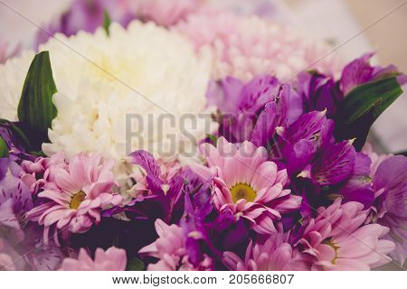 Purple And White Chrysanthemums And Asteria Bouquet Toned Image