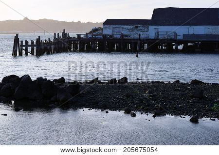 Abandoned Fisherman's Warf with a collapsing abandoned seafood warehouse on a dilapidated wooden pier taken in Bodega Bay, CA