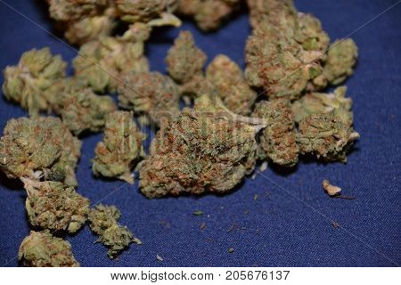 indica cannabis strain known as Charlie sheen used for medicinal purposes