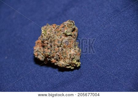 dosido is a hybrid medical cannabis strain
