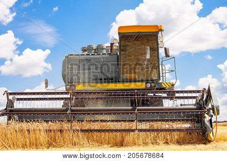 Combine machine is harvesting oats on farm field. combine harvester working on a wheat field. Combine harvester cuts the field of mature ripe yellow wheat