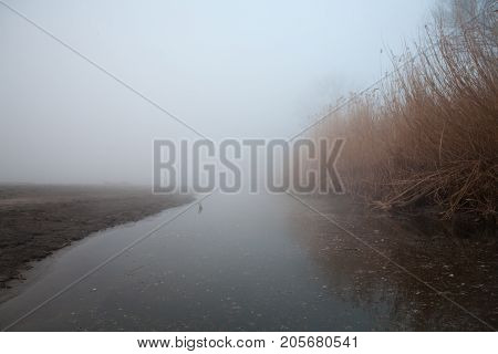 Morning on the river early morning reeds mist fog and water surface on the river