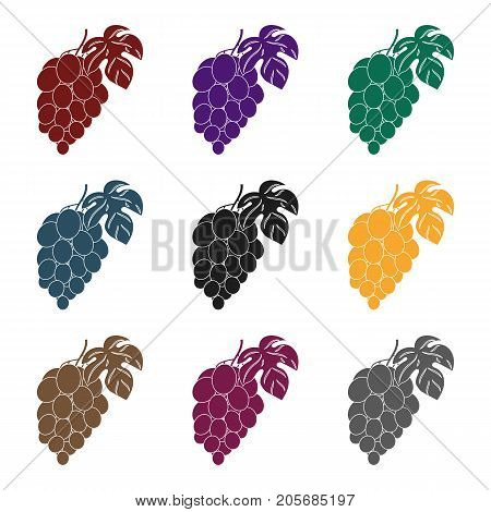 Bunch of grapes icon in black design isolated on white background. Wine production symbol stock vector illustration.
