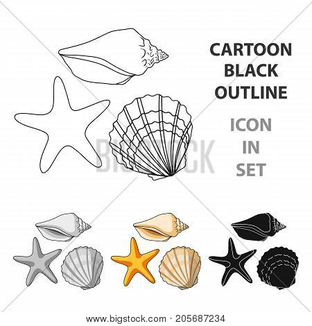 Seashells from the bottom of the sea.Summer rest single icon in cartoon style vector symbol stock web illustration.