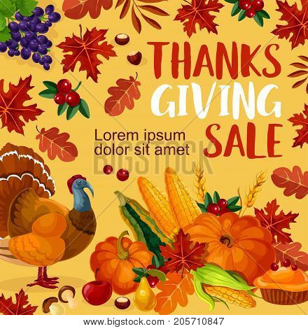 Thanksgiving day sale poster for seasonal autumn holiday. Vector design of turkey and fruit pie, pumpkin, corn and berry harvest in Thanksgiving cornucopia, fruit and berry, maple leaf and oak acorn