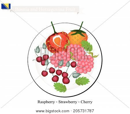 Bosnian Fruit, Illustration of Raspberry, Strawberry and Cherry. The Famous Fruits of Bosnia and Herzegovina.