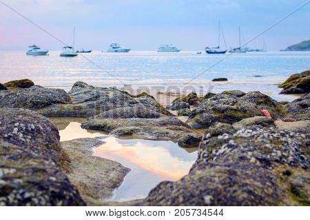 Rocky Beach At Sunset. Beautiful Gold Sundown At Rocky Coast. Selective Focus