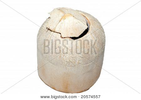 Изолированные свежий кокосовый