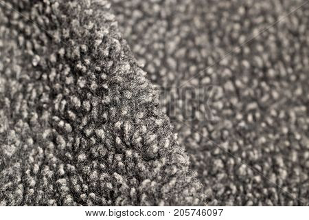 background of astrakhan . photo in the studio