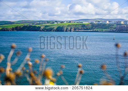 Landscape view of Isle of Man coastline with hill and mountain through a dried flower from Peel Castle, Isle of Man
