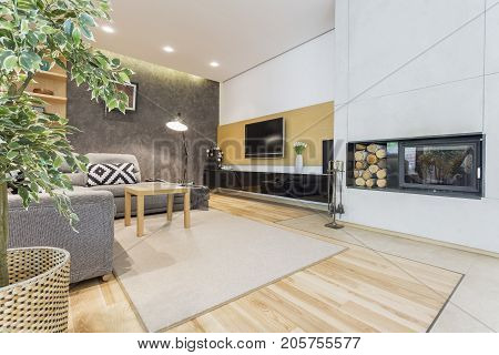 Modern Living Room With Fireplace