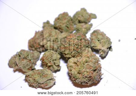 gelato is a hybrid medical marijuana strain
