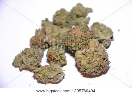 gelato is a hybrid medical marijuana strain