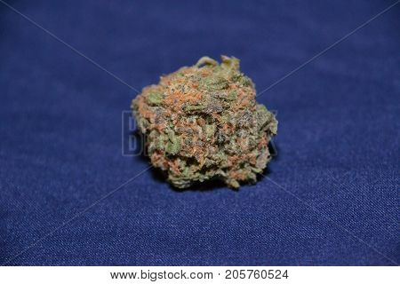 gelato is a hybrid medical marijuana strain