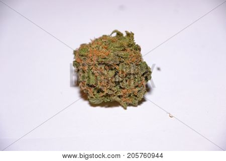 gelato is a hybrid medical marijuana strain