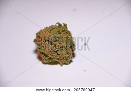 gelato is a hybrid medical marijuana strain
